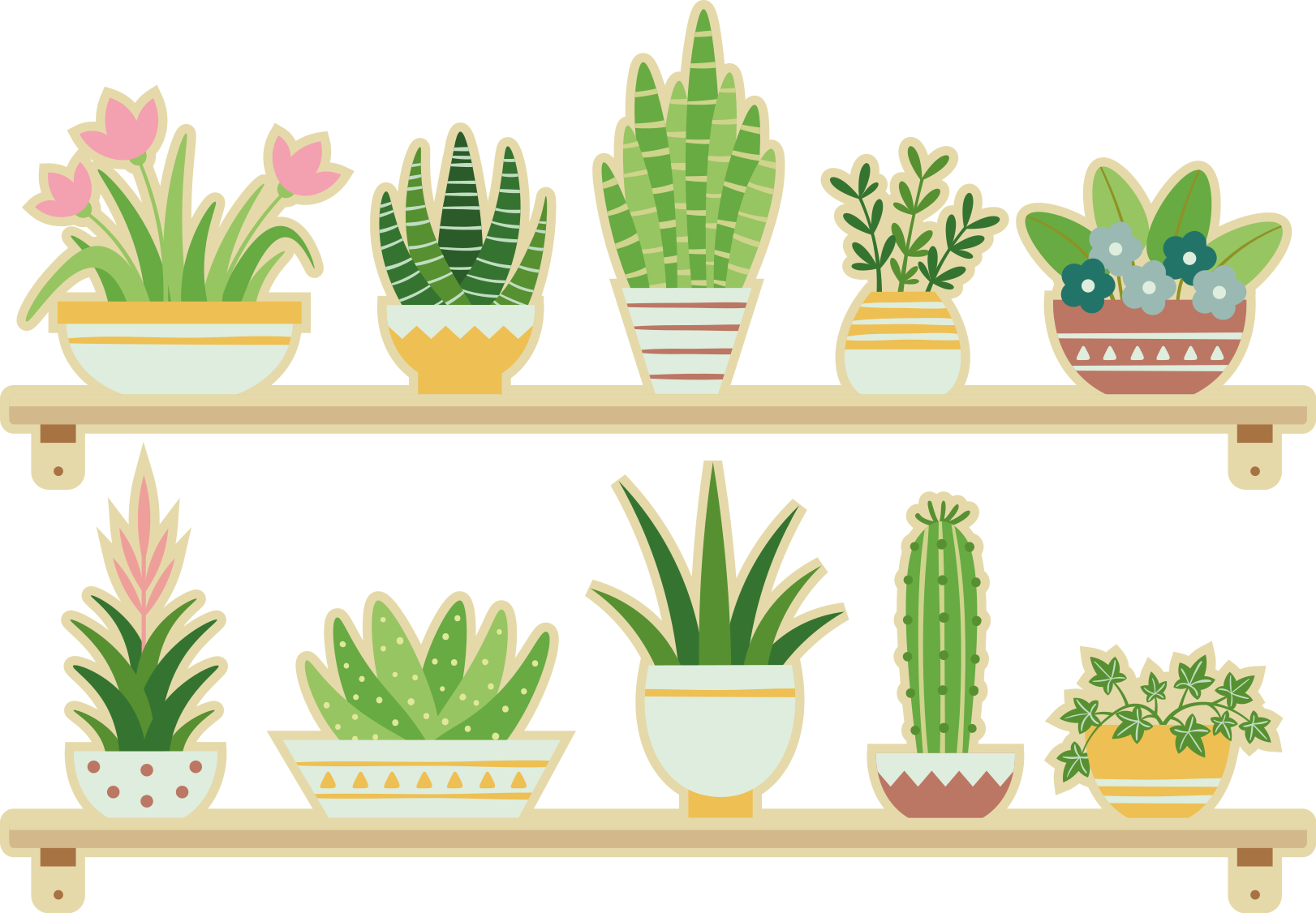 Tapete vinílico cozinha suporte para plantas cactos - TenStickers