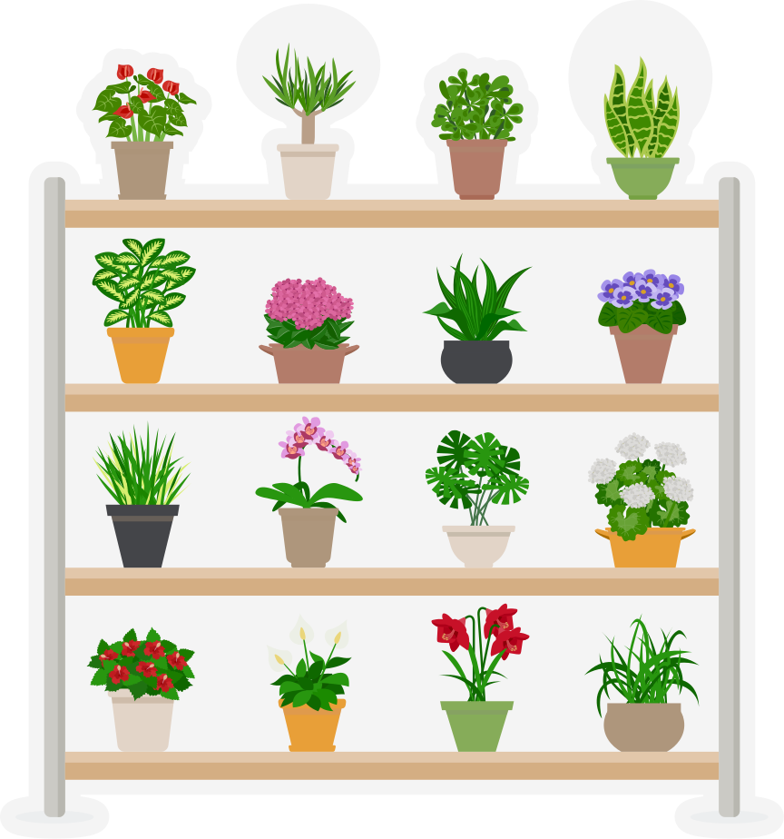 Tapete vinílico cozinha plantas em prateleiras - TenStickers