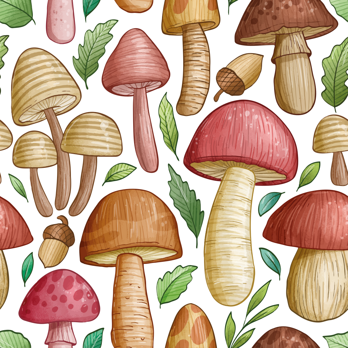 Tapete vinílico cozinha coleção de diferentes cogumelos - TenStickers