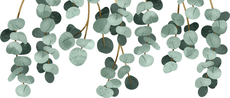 Tapete vinílico quarto plantas pendentes - TenStickers