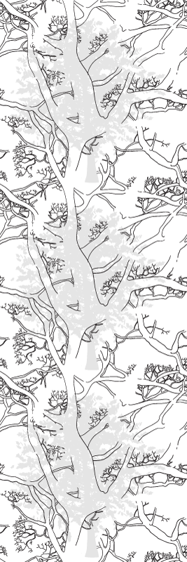 Tapete vinílico para escritório galhos de árvore escuros - TenStickers