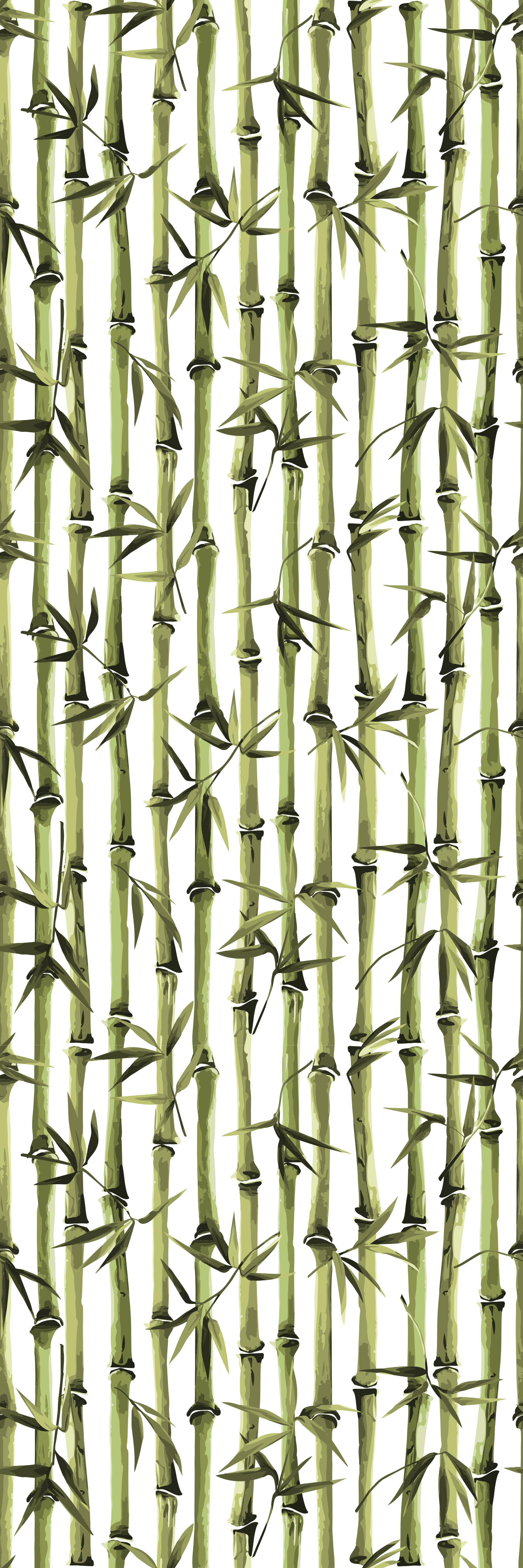 Tapete vinílico natureza galhos de bambu - TenStickers