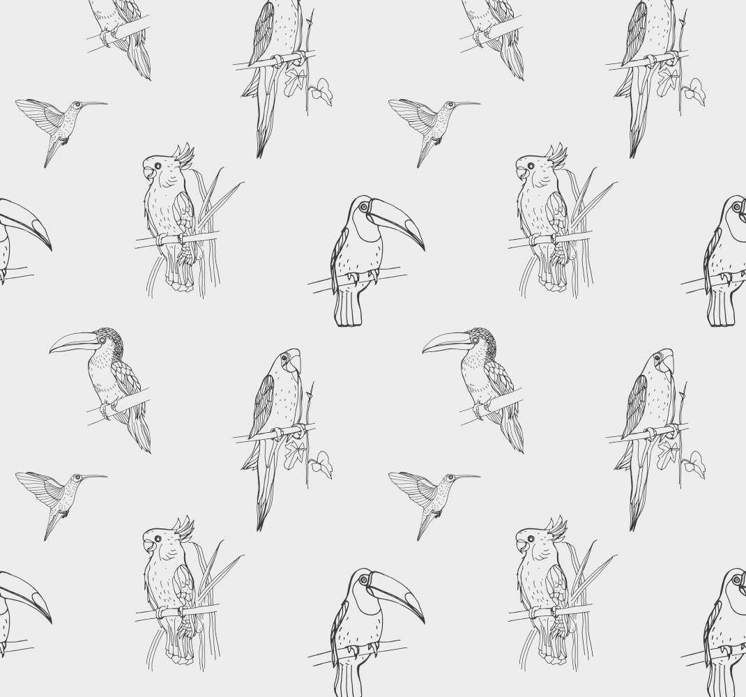 Tapete vinílico de animais araras e tucanos - TenStickers