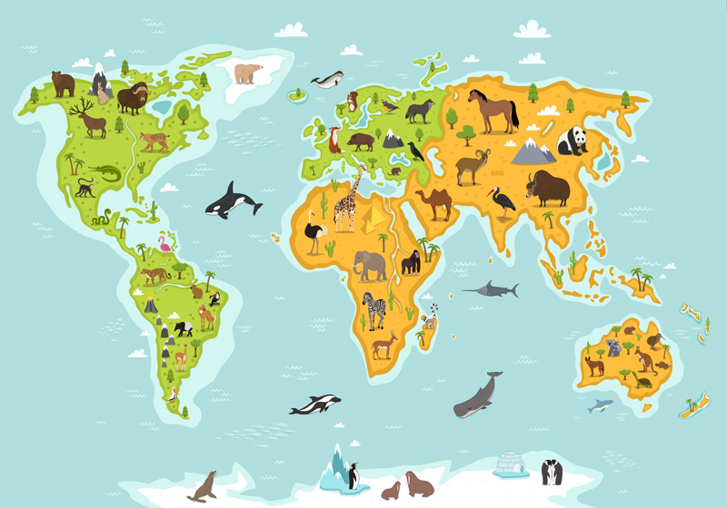 Tapete vinílico de mapa mundial fauna e flora - TenStickers