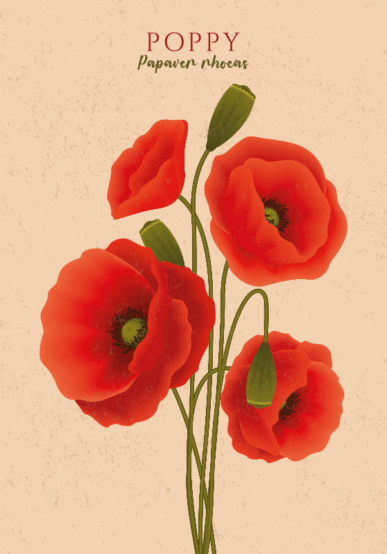 Tapete vinílico flores e plantas papoilas - TenStickers