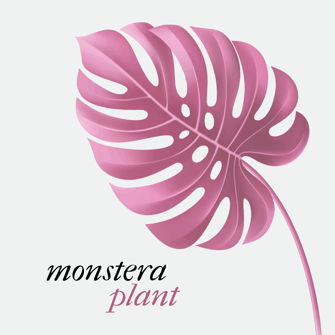 Tapete vinílico frases e textos estilo monstera rosa - TenStickers