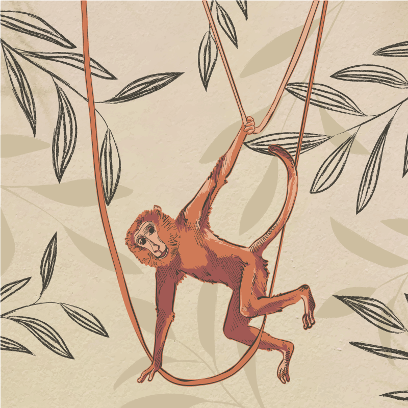 Tapete vinílico infantis macaco bebê balançando em planta - TenStickers