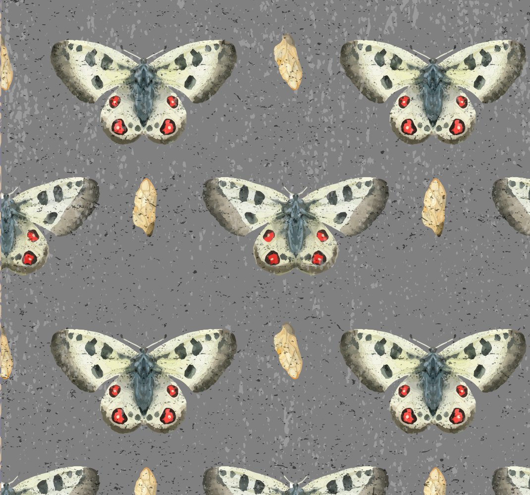 Tapete vinílico cinzento com padrão de borboleta simples - TenStickers