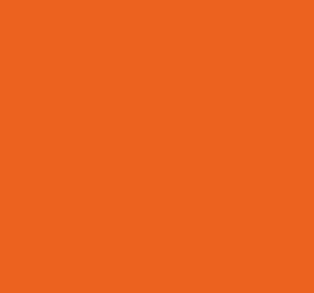 Tapete vinílico laranja laranja cítrico - TenStickers