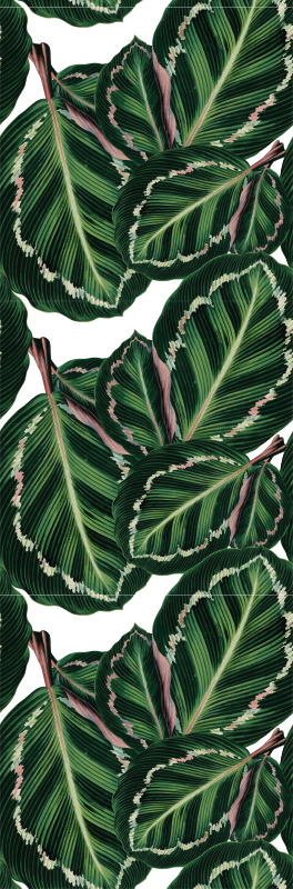 Tapete vinílico verde padrão maranta - TenStickers