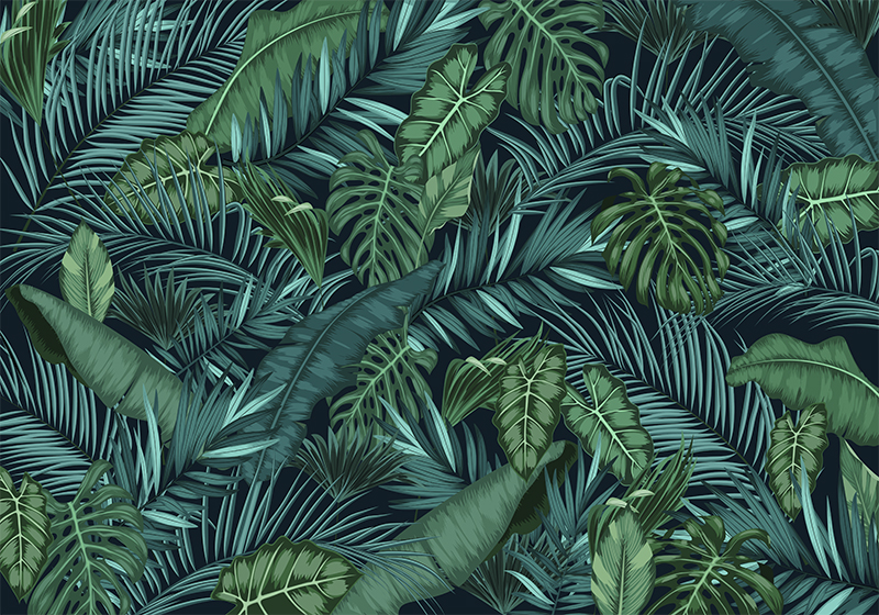 Tapete vinílico verde floresta tropical - TenStickers