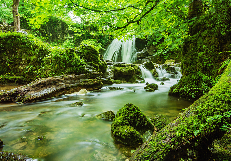 Tapete vinílico verde cachoeira serena - TenStickers