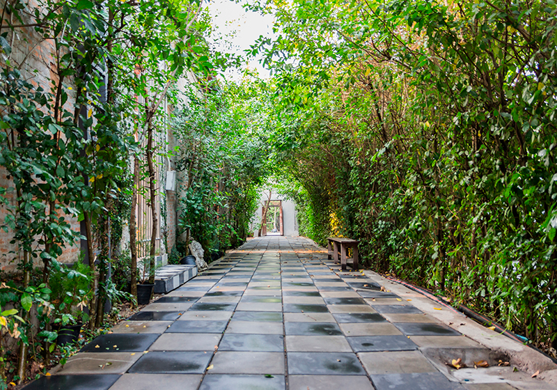 Tapete vinílico verde caminho serene do jardim - TenStickers