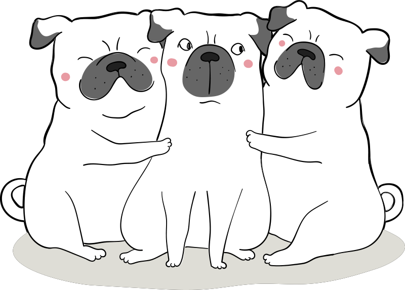Tapete de vinil de animais 3 pugs amigáveis - TenStickers