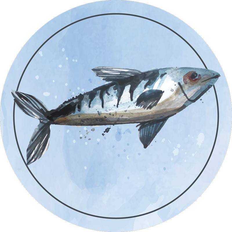 Tapete vinílico de animais exploração aquática - TenStickers