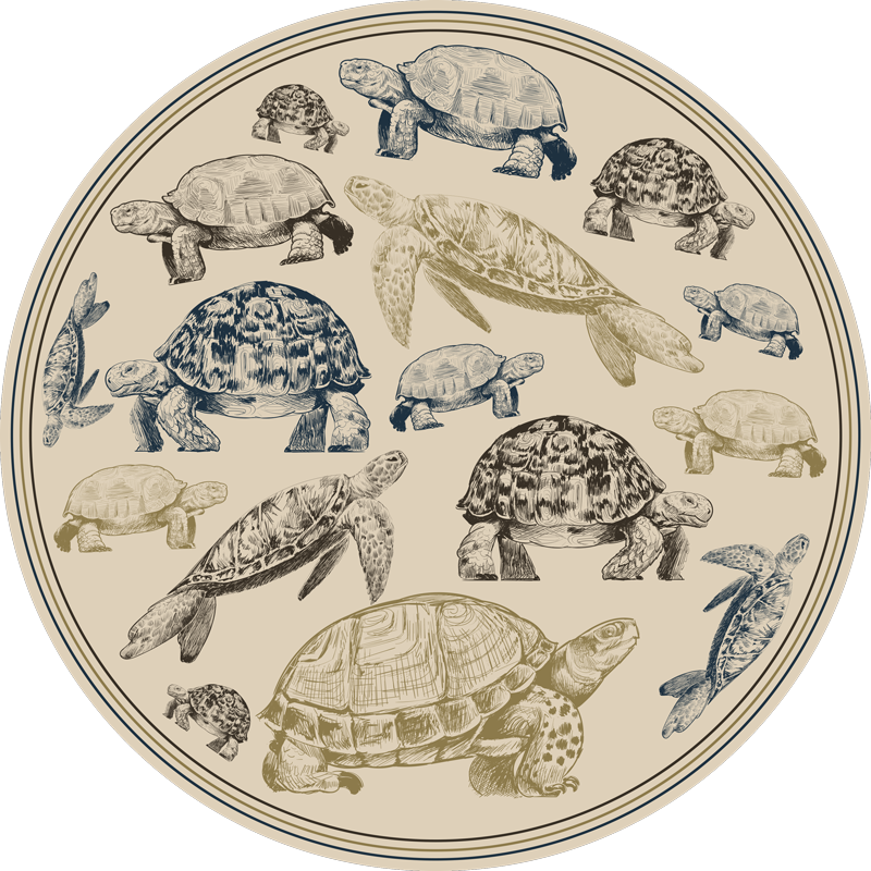 Tartarugas bege fundo animal vinil tapete - TenStickers