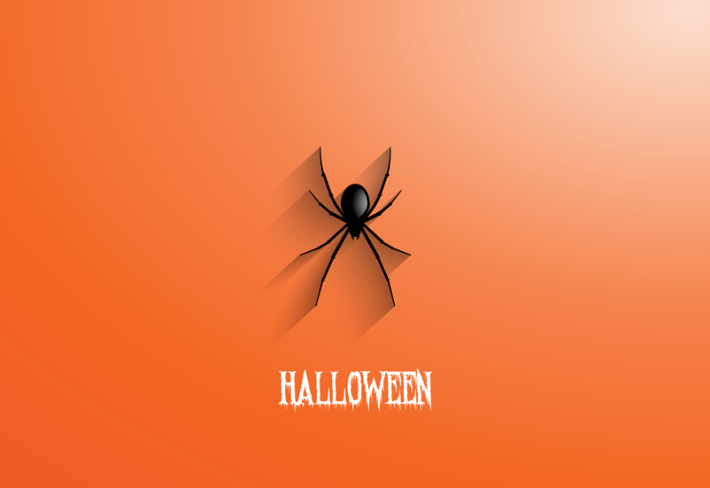 Tapete vinílico halloween aranha do dia das bruxas - TenStickers