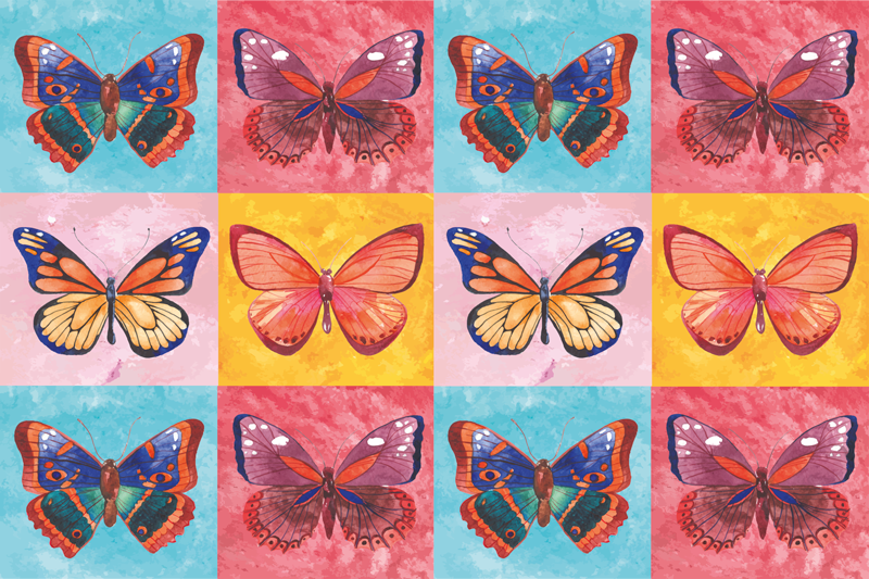Tapete vinílico flores e plantas borboletas coloridas - TenStickers