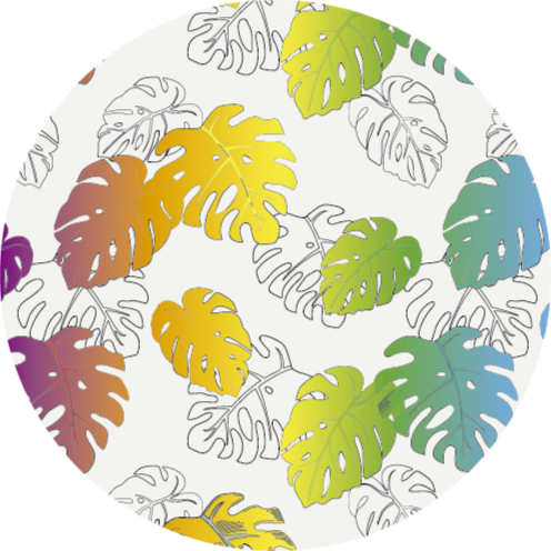Tapete vinílico flores e plantas monstera tropical - TenStickers
