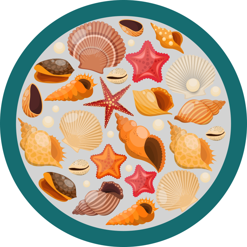 Conchas em um tapete de praia natural - TenStickers