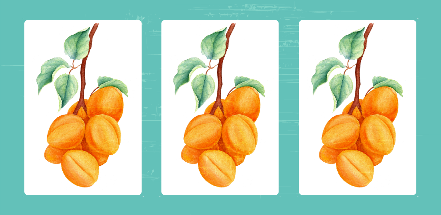 Tapete vinílico flores e plantas ilustração frutada - TenStickers