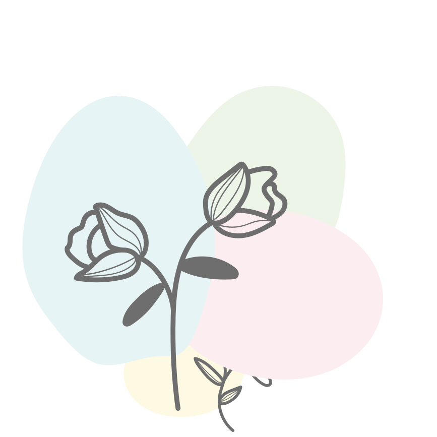 Tapete moderno de vinil beija flor - TenStickers