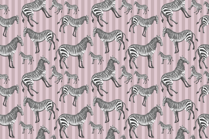 Tapete vinílico estampa de animal zebras listradas - TenStickers