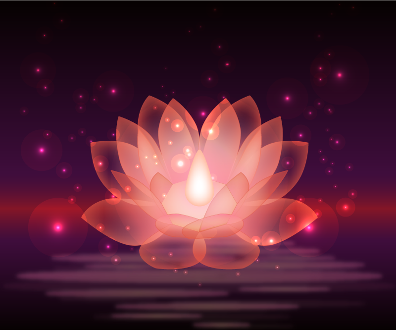 Tapete vinílico de mandala desenho de lótus cósmico - TenStickers