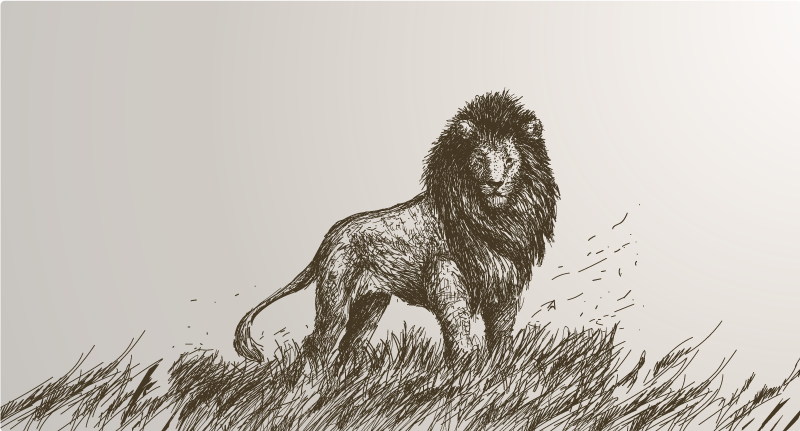 Tapete vinílico de animais reflexo majestoso do leão - TenStickers