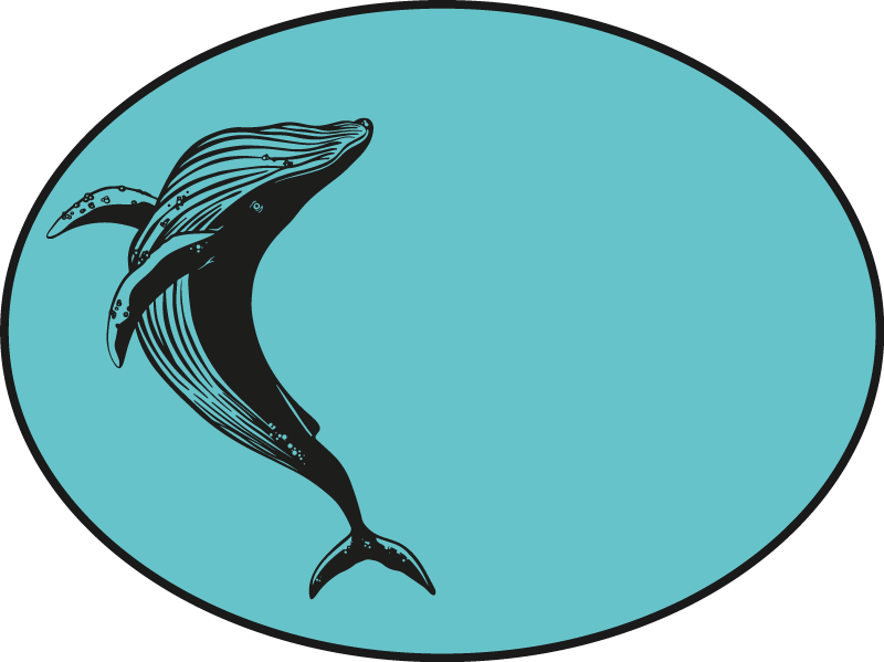 Tapete vinílico de animais motivo majestoso de baleia - TenStickers