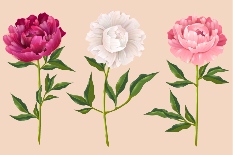 Tapete vinílico casa de banho arranjo de trio elegante - TenStickers