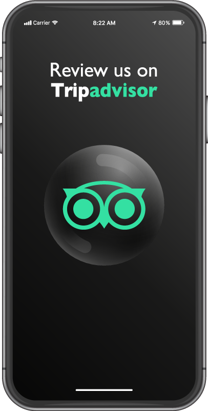 Tapete em vinil saldos avalie-nos no tripadvisor - TenStickers