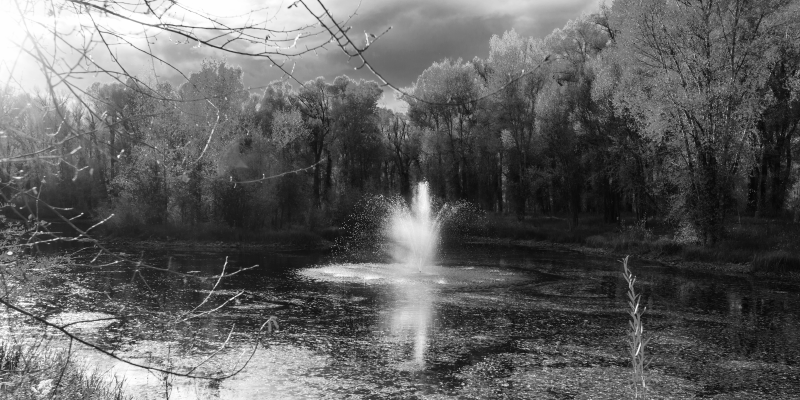 Tapete vinílico natureza vista serena da cachoeira - TenStickers