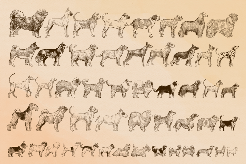 Tapete de vinil animal tamanho cão - TenStickers