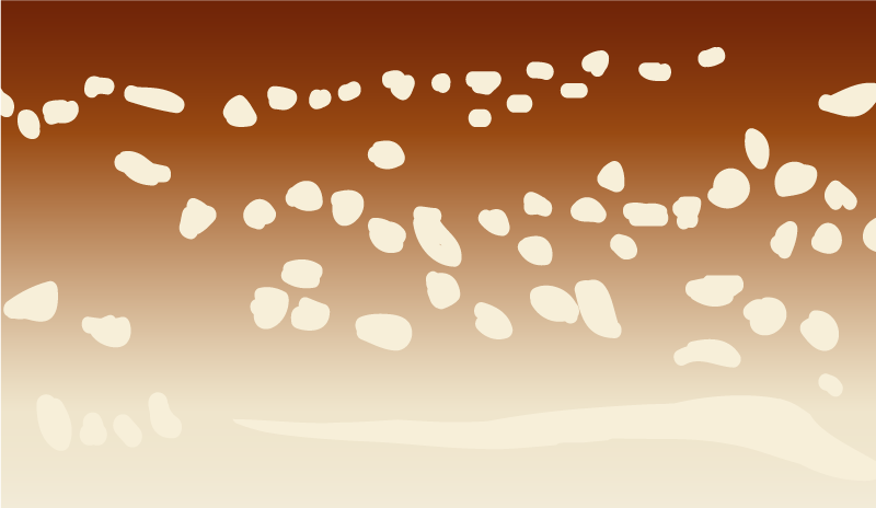 Tapete vinílico de pedras passarela marrom - TenStickers