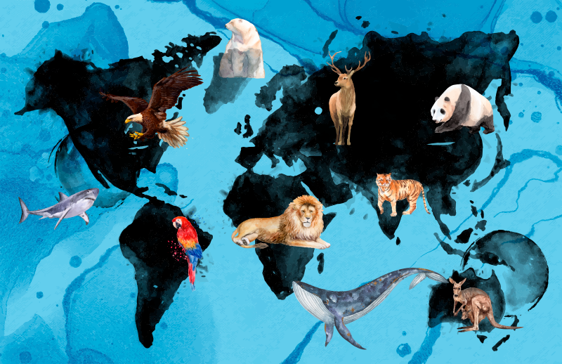 Tapete em vinil infantil vida selvagem azul e preta - TenStickers