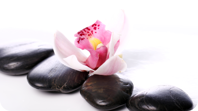 Tapete vinílico natureza serenidade floral elegante - TenStickers