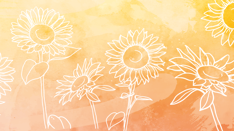 Tapete vinílico flores e plantas desenho de flor de girassol - TenStickers