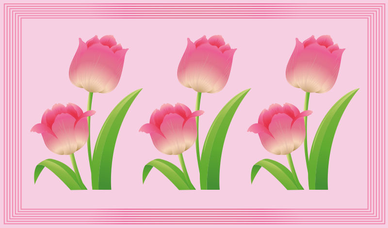 Tapete vinílico flores e plantas exibição de tulipas rosa - TenStickers