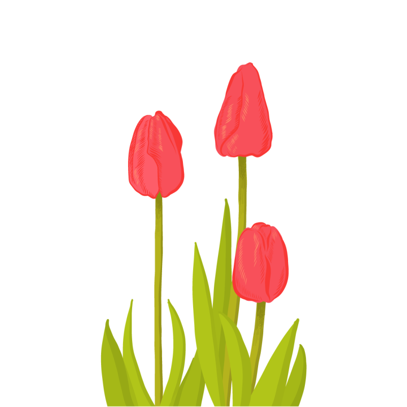 Tapete vinílico flores e plantas flor de tulipa vibrante - TenStickers