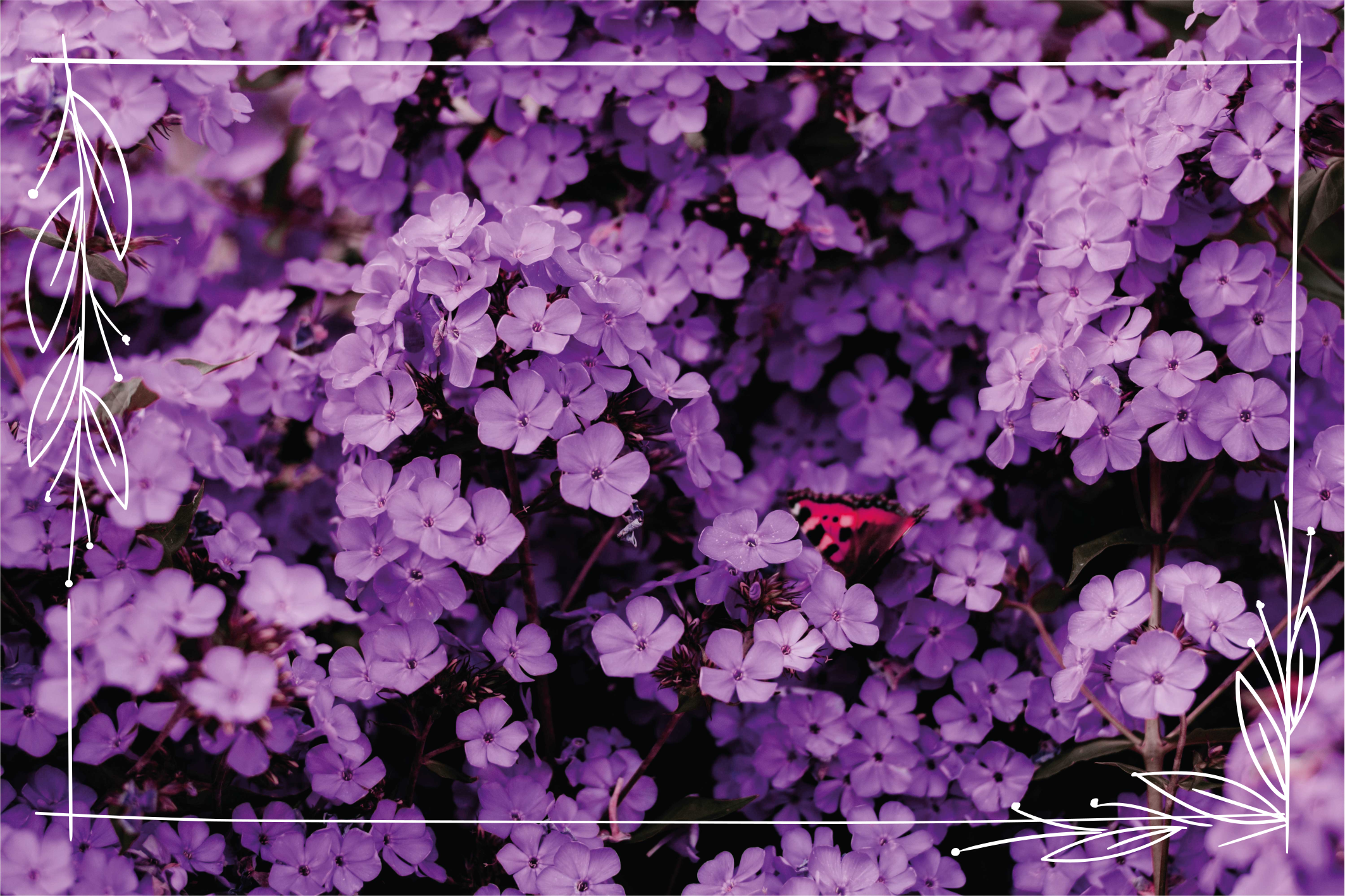 Tapete vinílico flores e plantas tons de roxo - TenStickers