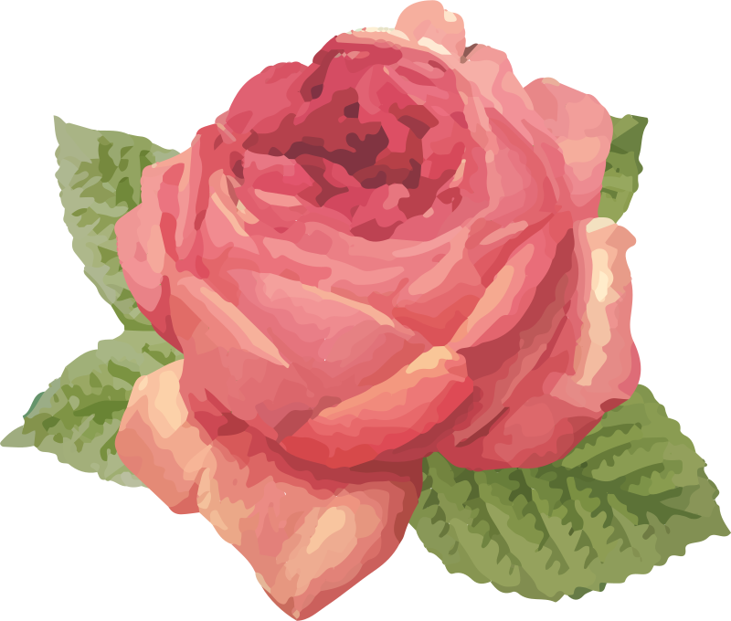 Tapete vinílico flores e plantas flor de rosa vibrante - TenStickers