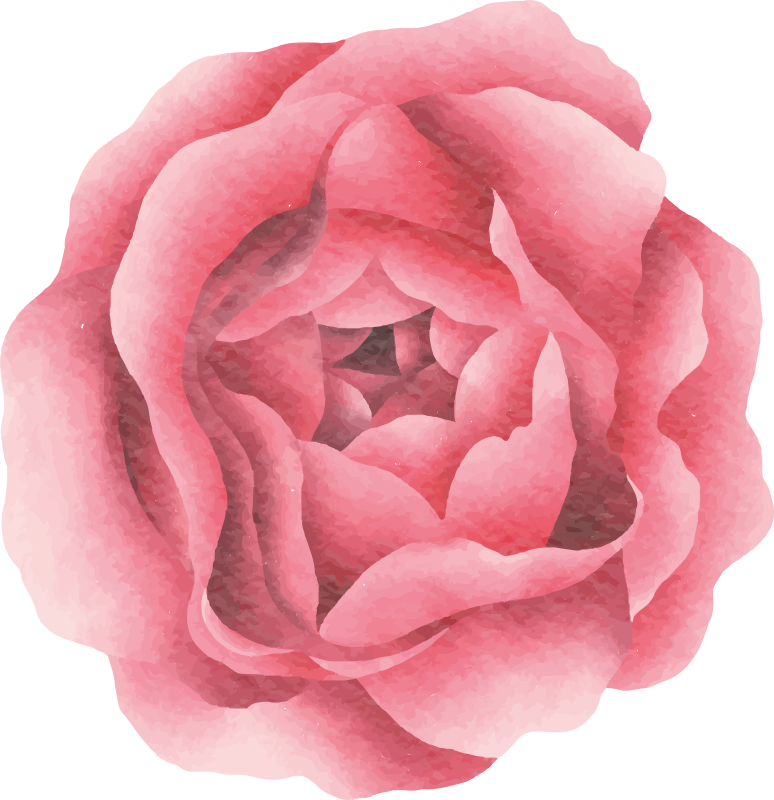 Tapete vinílico flores e plantas flor rosa blush - TenStickers