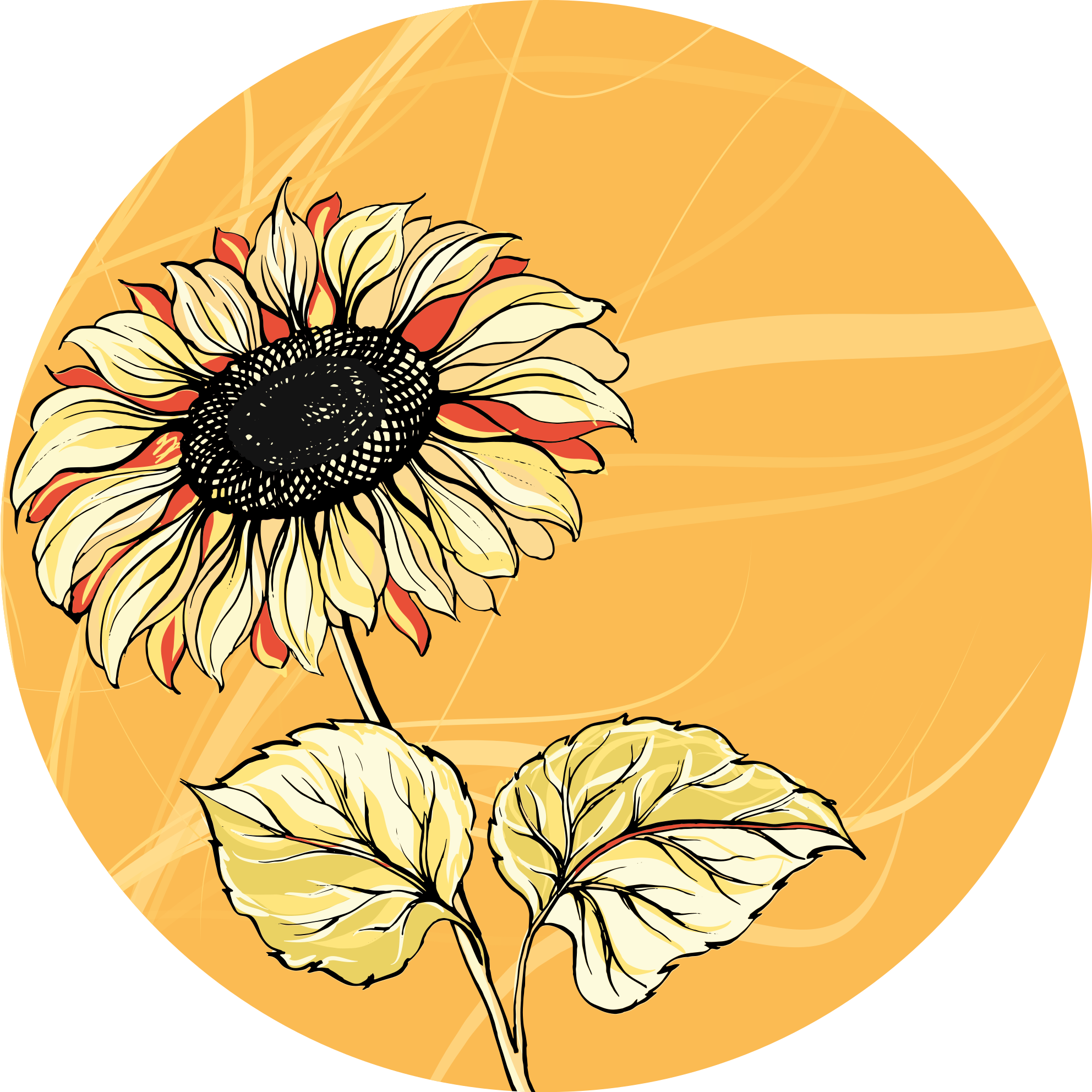 Tapete vinílico flores e plantas flor de girassol brilhante - TenStickers