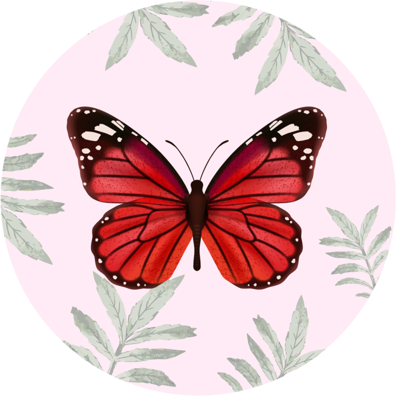 Tapete vinílico flores e plantas desenho de borboleta - TenStickers