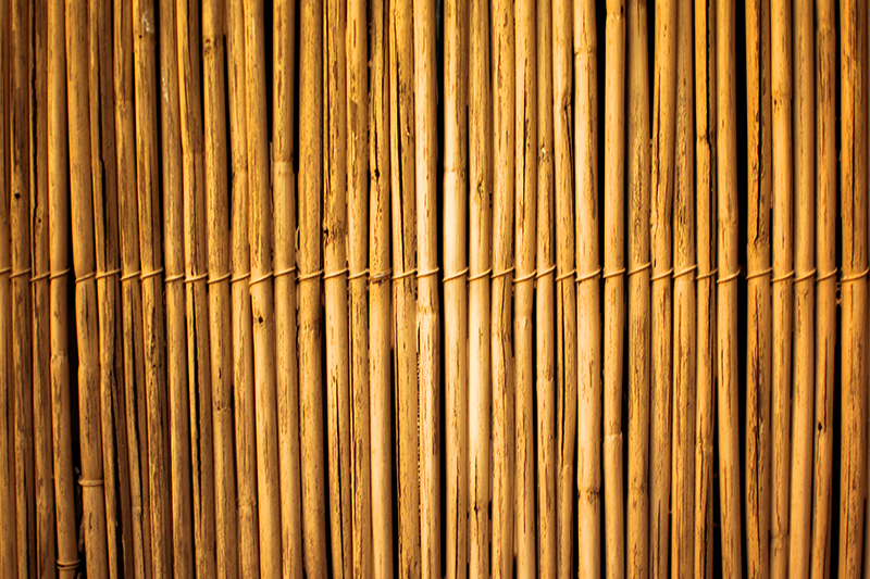 Tapete vinílico outras texturas efeito de textura de bambu - TenStickers