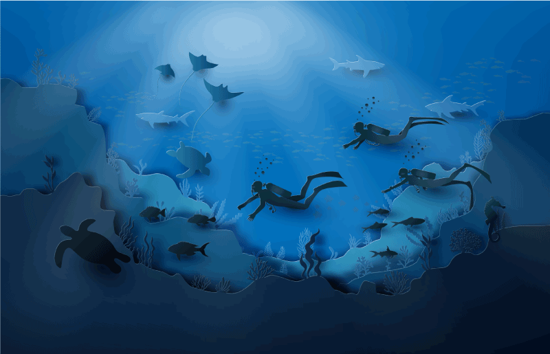 Tapete vinílico natureza exploração subaquática - TenStickers