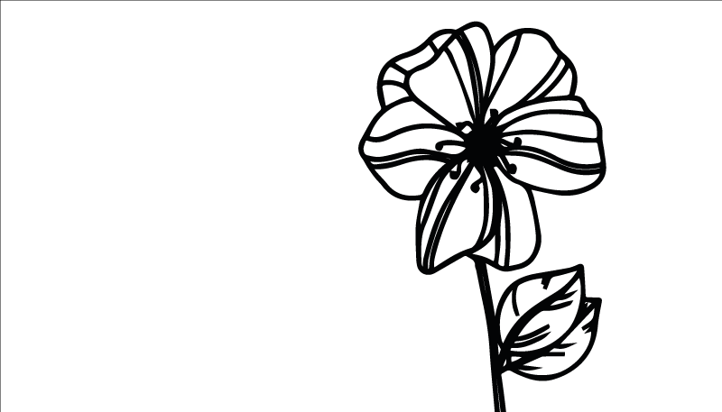 Tapete vinílico flores e plantas em design preto e branco - TenStickers