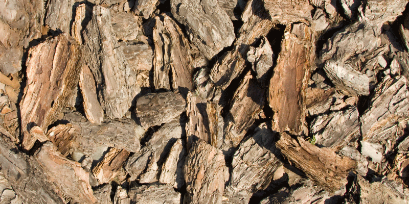 Tapete vinílico madeira design de casca natural - TenStickers