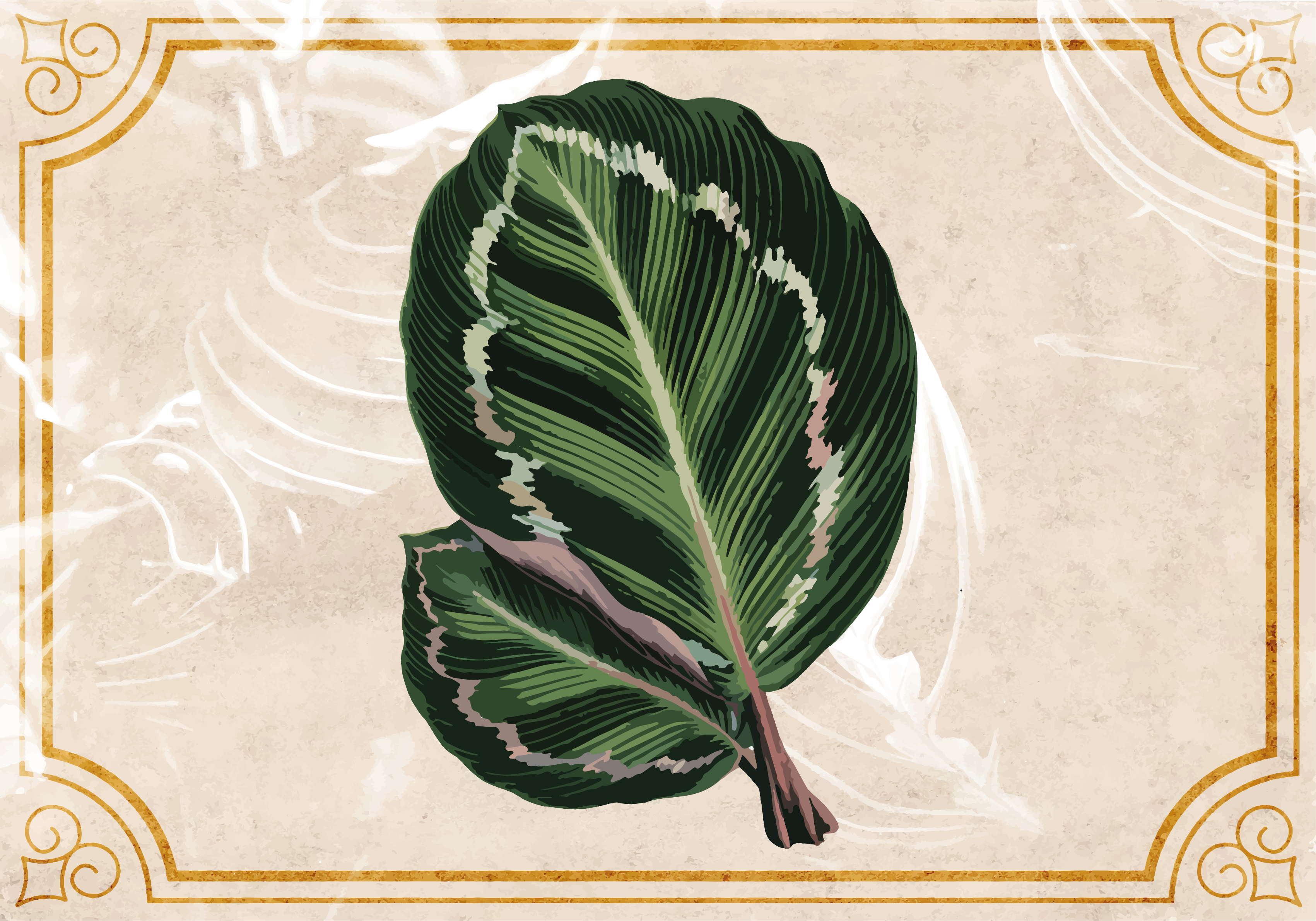 Tapete vinílico natureza elegância com motivo de folha - TenStickers